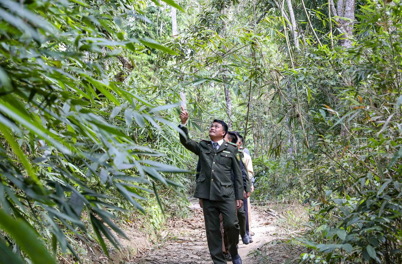 Lực lượng Kiểm lâm cùng người dân tuần tra khu vực rừng nguy cơ xảy ra cháy rừng cao tại huyện Nậm Pồ, Điện Biên. (Ảnh: Xuân Tư/TTXVN)