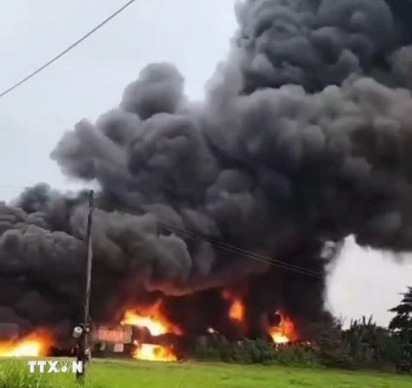 (Ảnh minh họa: TTXVN phát)