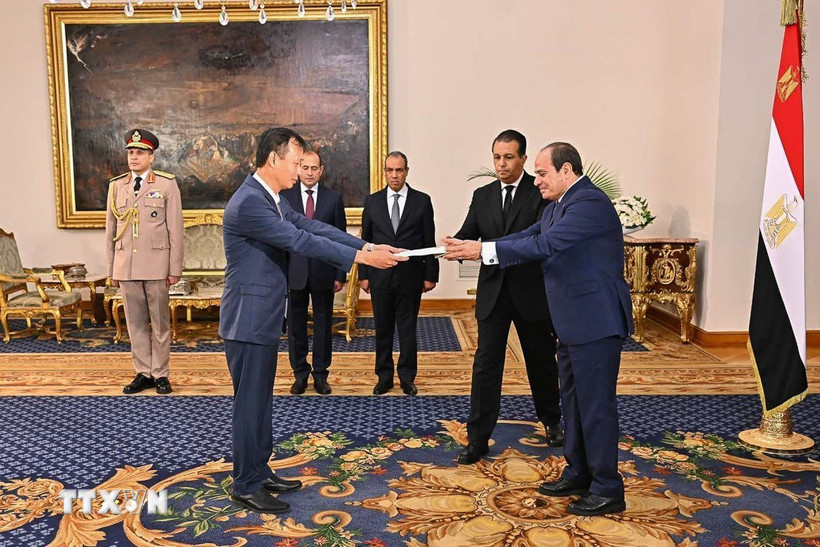 Đại sứ Nguyễn Nam Dương trình Quốc thư lên Tổng thống Ai Cập Abdel Fattah Al-Sisi. (Ảnh: TTXVN phát)