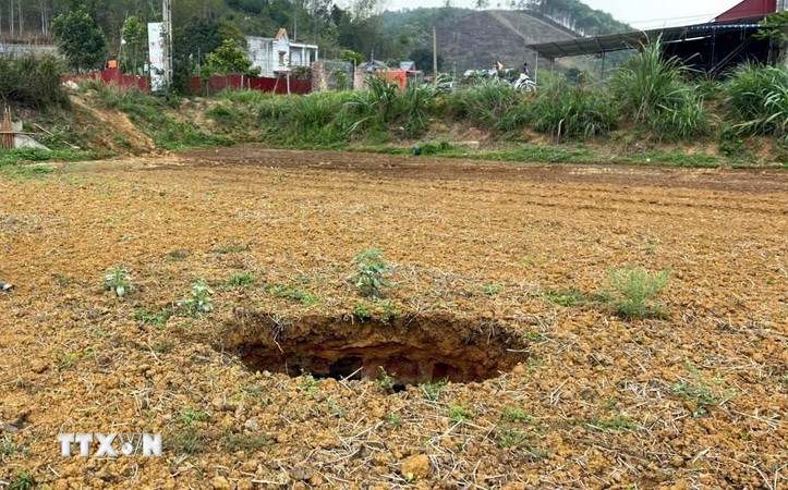 (Ảnh minh họa: Nguyễn Công Hải/TTXVN)