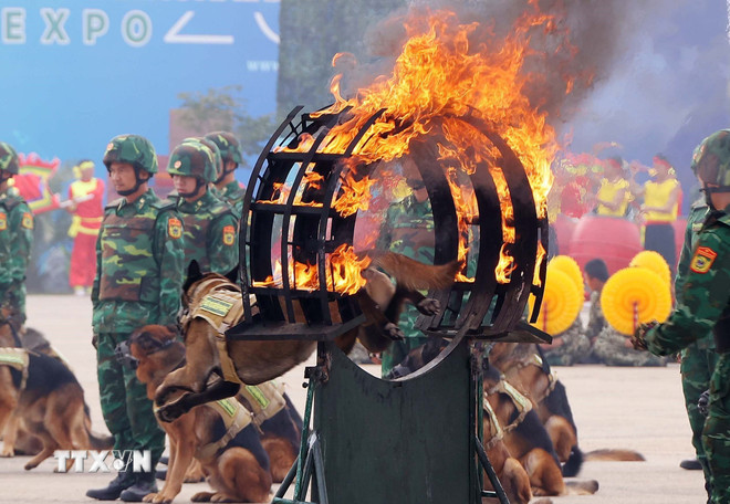ttxvn-20241219-quan-khuyen-trien-lam-quoc-phong-quoc-te-viet-nam-2024-2.jpg