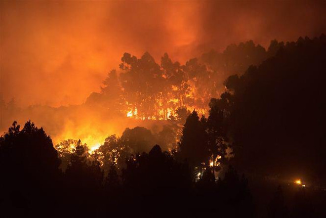 Khói lửa bốc lên từ đám cháy rừng ở đảo Gran Canaria, Tây Ban Nha ngày 17/8/2019. (Nguồn: AFP/TTXVN) Hơn 3.400ha rừng ở Tây Ban Nha bị thiêu cháy, ngọn lửa cao 50m ảnh 1