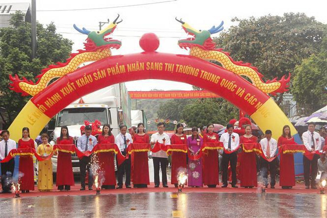 Xuất khẩu 60 tấn nhãn Sơn La sang thị trường Trung Quốc và các nước ảnh 1