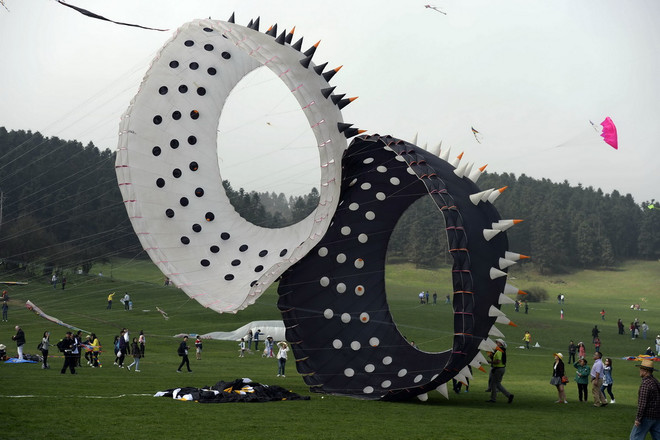 [Photo] Những mẫu diều độc đáo hội tụ tại lễ hội thả diều quốc tế ảnh 3