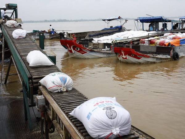Nhiều doanh nghiệp đã hoàn thành chỉ tiêu thu mua tạm trữ lúa gạo ảnh 1