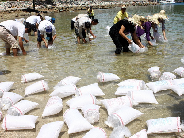 Trà Vinh thả 4,6 triệu con tôm giống để tái tạo nguồn lợi thủy sản ảnh 1