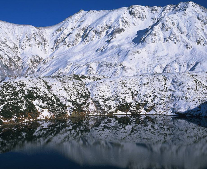 [Photo] Chiêm ngưỡng con đường tuyết trắng tuyệt đẹp ở Nhật Bản ảnh 4