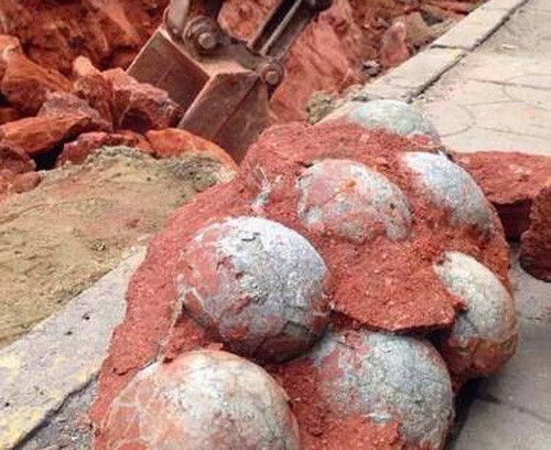 Phát hiện ổ trứng khủng long hóa thạch giữa trung tâm thành phố ảnh 1