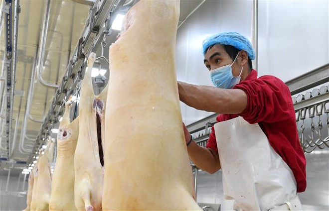 Đại dịch COVID-19 tác động kéo dài lên thị trường lao động ảnh 1