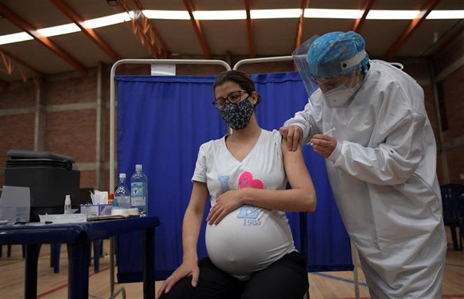 Tiêm vaccine ngừa COVID-19 cho phụ nữ mang thai tại Bogota, Colombia. (Ảnh: AFP/TTXVN) Nghiên cứu mới: Mẹ mắc COVID-19 không truyền virus sang con qua sữa ảnh 1