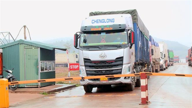 Dừng tiếp nhận hoa quả, thủy sản đông lạnh qua Móng Cái từ 17/1 ảnh 1