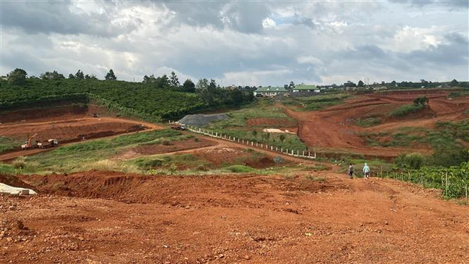 Lâm Đồng tạm dừng giải quyết việc phân lô, tách thửa đất trên địa bàn ảnh 1