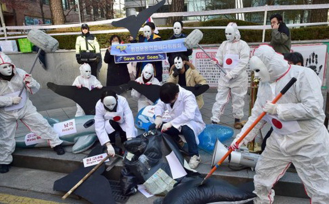 33 quốc gia phản đối Nhật Bản đánh bắt cá voi tại Nam Cực ảnh 1