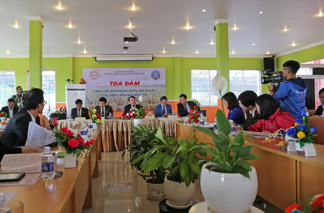 Giá trị kinh doanh hoa Đà Lạt đang giảm sút nghiêm trọng ảnh 1