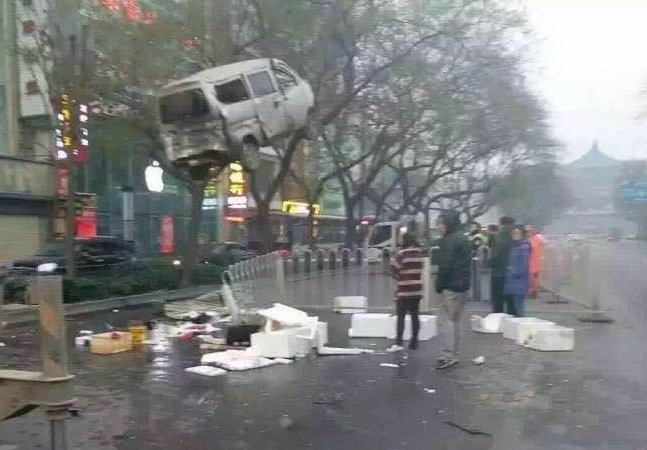 Bức ảnh hiếm có về chiếc xe tải treo lơ lửng trên cành cây ảnh 1