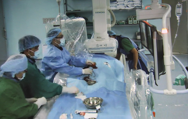 Công bố thành lập bệnh viện tim mạch thành phố Cần Thơ ảnh 1