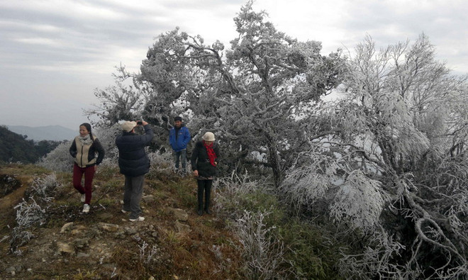 Nhiệt độ miền Bắc có nơi xuống mức 12 độ C trong đêm nay ảnh 1