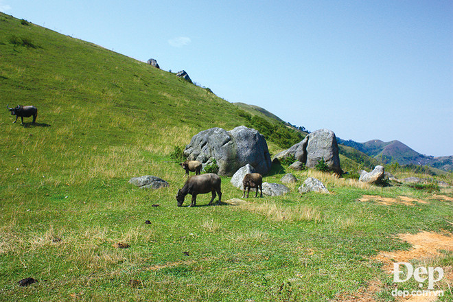 Khám phá Đồng Cao – miền cổ tích giữa núi đồi Đông Bắc ảnh 8