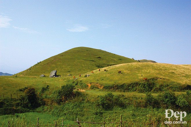 Khám phá Đồng Cao – miền cổ tích giữa núi đồi Đông Bắc ảnh 9
