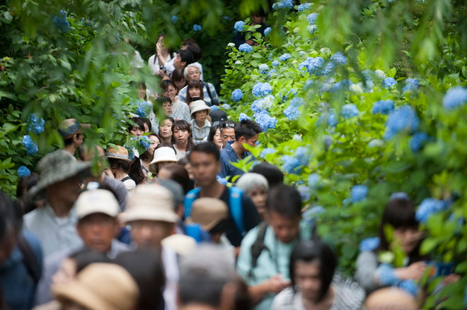 Du lịch Nhật Bản hốt bạc nhờ du khách nước ngoài mạnh tay chi tiêu ảnh 1