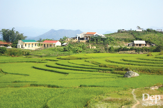 Khám phá Đồng Cao – miền cổ tích giữa núi đồi Đông Bắc ảnh 12