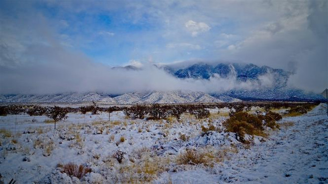 Bão tuyết hoành hành mạnh ở Canada, tuyết rơi dày tới 50cm ảnh 1