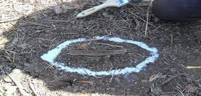 HĐBA miễn trừ trừng phạt đối với dự án khai quật hài cốt binh sỹ ở DMZ ảnh 1