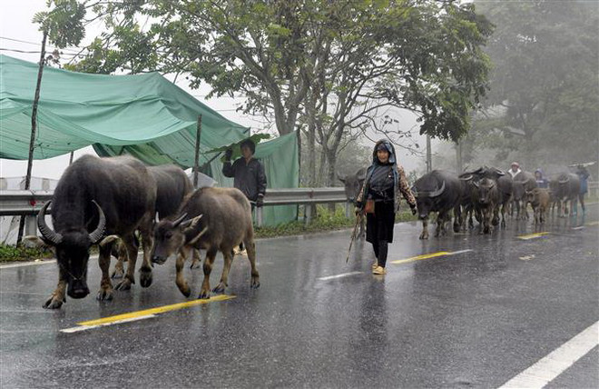 Bắc Bộ mưa diện rộng, có nơi nhiệt độ xuống dưới 15 độ C ảnh 1