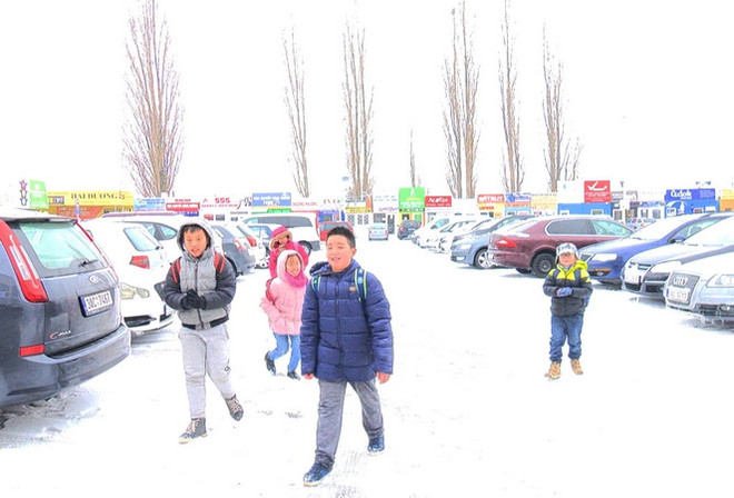 Miệt mài hành trình 16 năm 'gieo tiếng mẹ đẻ' tại Cộng hòa Séc ảnh 3