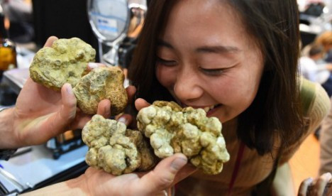 Săn "kim cương của nhà bếp" - hình thức du lịch độc đáo ở Italy ảnh 1