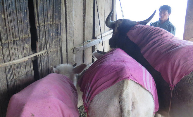 Không khí lạnh tăng cường, Bắc Bộ lạnh sâu từ 19/2 ảnh 1