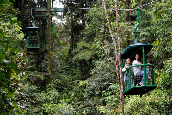 Rừng thứ sinh - chìa khóa cho bài toán giảm khí thải ảnh 1