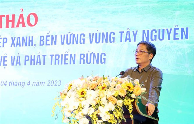 Phát triển kinh tế nông, lâm nghiệp xanh, bền vững vùng Tây Nguyên ảnh 2