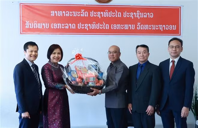 Thắt chặt tình hữu nghị giữa phái đoàn Việt Nam-Lào tại Geneva ảnh 1
