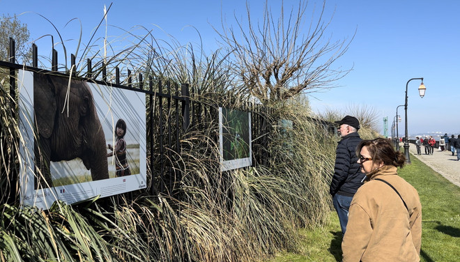 Nhiếp ảnh gia Réhahn mang vẻ đẹp Việt Nam đến với công chúng Pháp ảnh 1