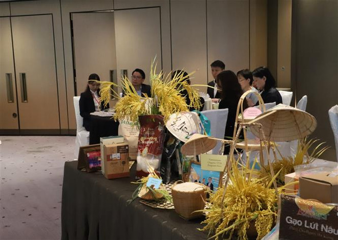 Các sản phẩm gạo tiêu biểu của Việt Nam được giới thiệu tại hội thảo. (Ảnh: Mạc Luyện/TTXVN) Tăng cường năng lực cạnh tranh của gạo Việt Nam ở Hong Kong ảnh 1