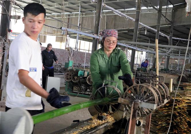 Một công đoạn trong việc dệt chiếu trúc ở Cao Bằng. (Ảnh: Quốc Đạt/TTXVN) Bình chọn sản phẩm công nghiệp nông thôn tiêu biểu cấp quốc gia ảnh 1
