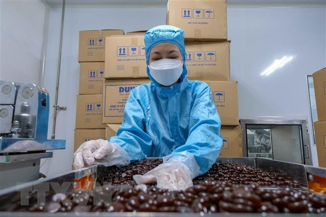 Nghiên cứu thành lập Ban Chỉ đạo Quốc gia về Phát triển ngành Dược ảnh 1