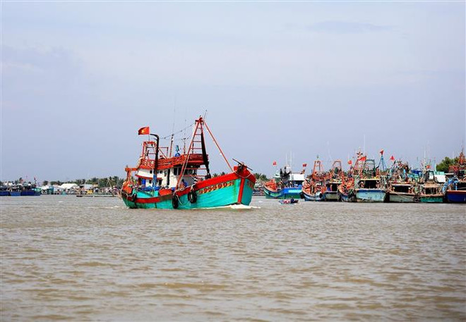 Tàu đánh bắt thủy sản trên vùng biển Cà Mau. (Ảnh: Hồng Đạt/TTXVN) Thúc đẩy tiêu thụ nông sản, chống khai thác hải sản bất hợp pháp ảnh 2