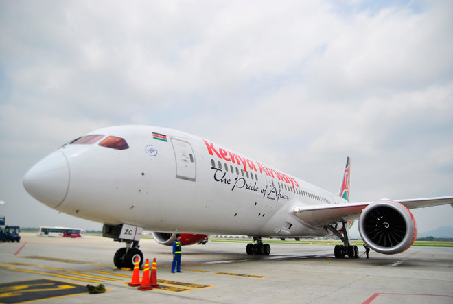 Việt Nam kết nối tới Lục địa đen với đường bay thẳng đầu tiên ảnh 1