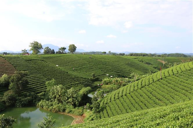 Mỗi xã một sản phẩm: Tạo hiệu ứng lan tỏa ở các địa phương ảnh 1