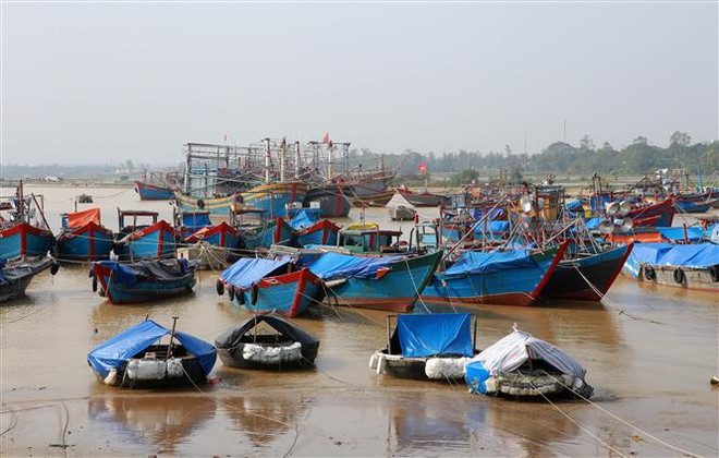 Các tỉnh miền Trung lại oằn mình ứng phó với cơn bão số 13 ảnh 1