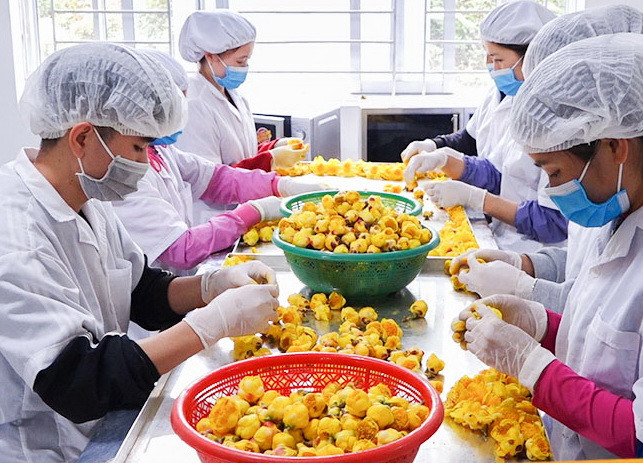 Xây dựng thương hiệu OCOP Quảng Ninh đủ mạnh hướng tới xuất khẩu ảnh 1