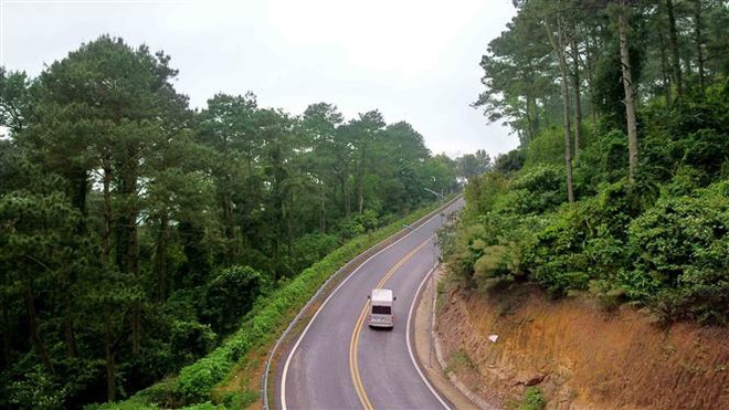 Vĩnh Phúc: Tăng diện tích rừng trồng gỗ, bảo vệ rừng phòng hộ ảnh 2