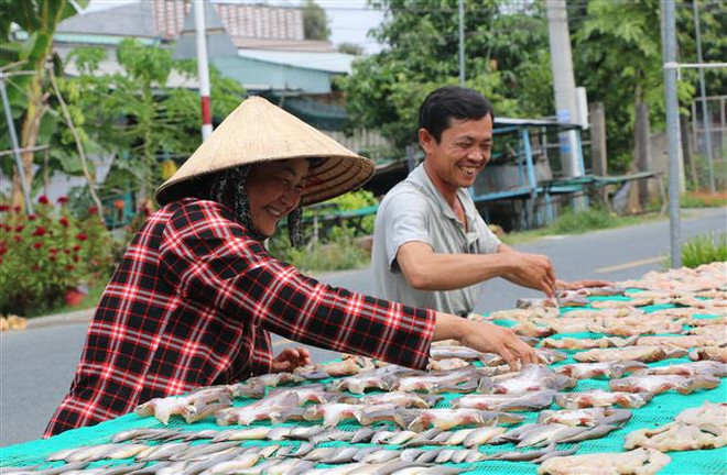 Đồng Tháp: Tạo điều kiện để người nghèo tiếp cận với vốn chính sách ảnh 2
