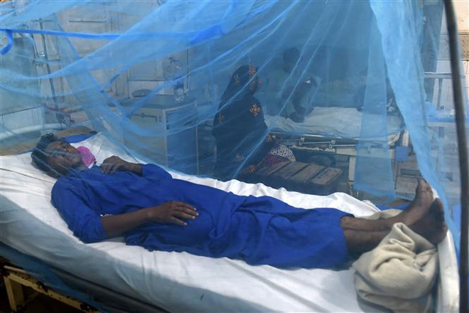 WHO: El Nino làm gia tăng sự lây lan các bệnh liên quan đến virus ảnh 1