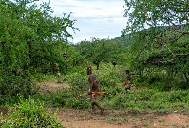 Phát hiện đặc sắc về hoạt động thể thao và việc giảm cân ảnh 3