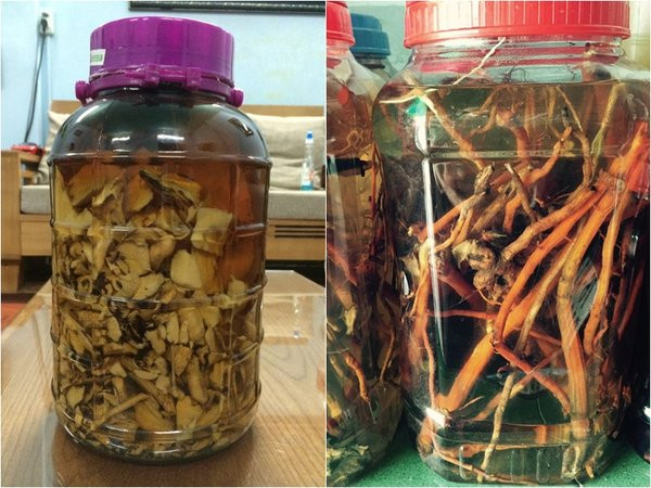 Đi tìm nguyên nhân của các vụ ngộ độc rượu gây tử vong thương tâm ảnh 2