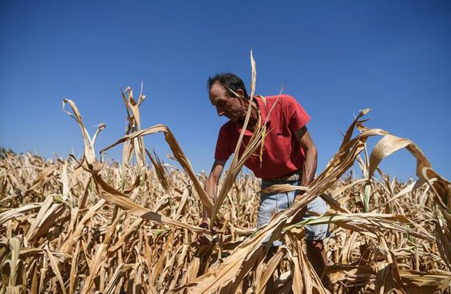 Thiếu hụt nguồn nhân lực - 'bom hẹn giờ' với nền kinh tế Italy ảnh 1