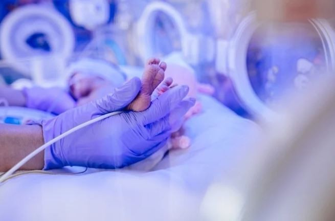 Viêm nhiễm tác động như thế nào đến sự phát triển não bộ thai nhi? ảnh 1